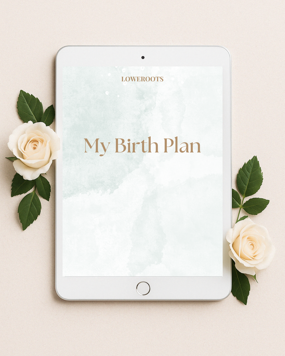 LoweRoots E-Birth Plan
